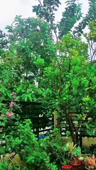 pinay kantot vids|Pinay Archives .